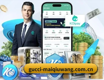 买球网 APP 深度功能(maiqiuwang)
